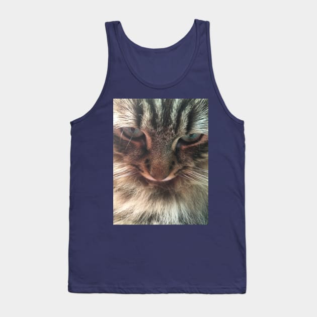 Iggie, The Adorable, Rescued Main Coon Kitten Tank Top by AHBRAIN